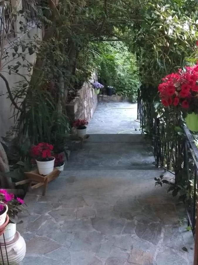 Ntaliani Panagiota Anastasia Loutra Edipsou  Zewnętrze zdjęcie